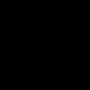 Meet your Posher, Regan